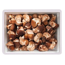 [행사]무농약 국내산 햇담 참송이버섯 실속형 중대사이즈[ 1kg+건조송화 ]이천 송이버섯, 1박스, 1kg 참송이 가정용+건조송화