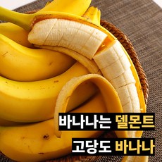 알뜰상품 델몬트 바나나 고당도, 3송이, 1개