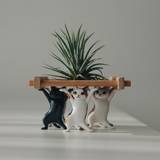 만세 댄스고양이5종 자이언트이오난사세트, 만세고양이5종+자이언트틸란+대나무코스터(대_브라운), 1개