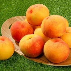 [도매] [초록자연] 황도 복숭아 4kg (19-20과) (소), 1개