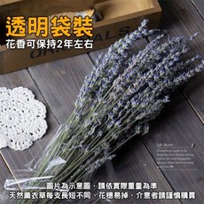 Life Master 天然乾燥薰衣草花束，長梗居家裝飾, 薰衣草乾燥花_透明袋裝 / 小束