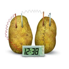 비엘스키 에너지 전기 화학 교육 감자 시계 DIY 과학 실험 키트, 1개, 감자시계키트 BL00533
