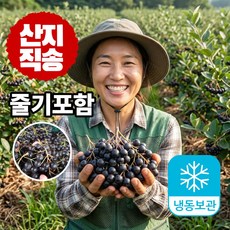 더맛곳간 국내산 고창 생 아로니아 국산 생과 시즌 종료 시 냉동 발송, 1개, 상품 5kg