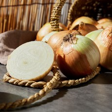 국내산 합천 양파, 1개, 10kg