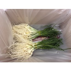 경북 성주 세척 묶음 달래 300g, 1개, 1ml