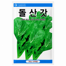 그린하트바이오 돌산갓 재래종 갓씨앗 30g 다수확 갓 종자 쌈용 김치용 겉절이용 그린하트, 1개