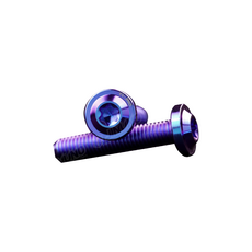 桀諾 鈦合金飛碟頭螺絲 M4 M5 M6 M8 M10 車用 卡座 扶手 排氣管 鈦螺絲, 1個