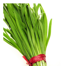 [굿피플] 국내산 신선한 부추 손질부추 국산부추, 1개, 1.5kg