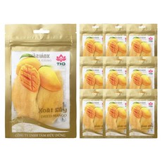 베트남 THD 반건조 건망고 말린망고 망고 말린 슬라이스, 10개, 100g