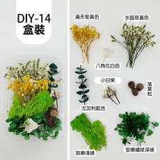 雨林薰舍 永生花材盒, DIY-14(盒裝)