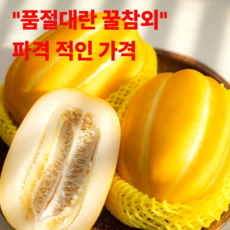산지직송 고당도 성주 참외 로얄과 1Box, 1박스, 3kg