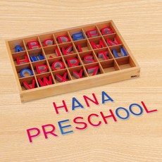 영어 대문자 이동글자 (자석)B/ 몬테소리