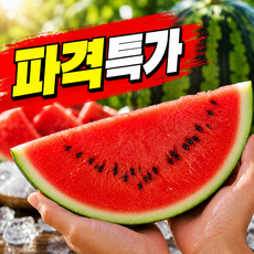 [파격초특가] 11brix 초고당도 하우스 수박, 1개, 3kg