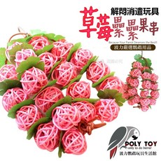 草莓纍纍果串 鸚鵡啃咬玩具 波力鸚鵡玩具生活館A0221, 1個