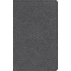 (영문도서) NASB Personal Size Bible Charcoal Leathertouch Imitation Leather, Holman Bibles, English, 9798384525370