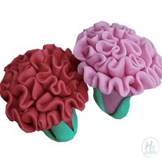 더블H샵 어버이날 만들기 카네이션비누 10인용