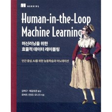 머신러닝을 위한 효율적 데이터 레이블링:인간 중심 AI를 위한 능동학습과 어노테이션, 에이콘출판, 로버트 (먼로) 모나크 저/김택구,제갈호준 역
