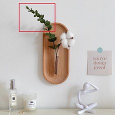 桃園出貨 ins居家客廳背景牆裝飾水培花瓶仿真花壁掛民宿酒店餐廳綠植掛件, 尤加利1支+無橢圓盤