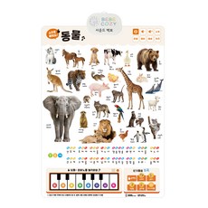 베베코지 사운드 벽보 포스터 동물 한글 영어 각 주제별 동요 30곡 이상, 베베코지 사운드벽보