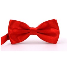 나비 넥타이 2개입 남자 보타이 결혼식 웨딩 돌잔치 파티 가족행사