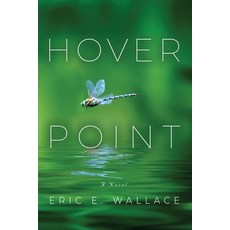 (영문도서) Hover Point Paperback, Booklocker.com, English, 9781958889169