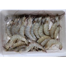 25년 가을 대하 국내산 흰다리 새우 급냉 750g 25미 내외