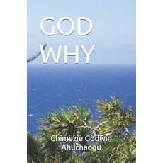 (영문도서) God Why Paperback, Independently Published, English, 9798334136779