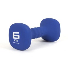 아이워너 네오프렌 사각아령 6KG 근력운동 덤벨 헬스 바벨, 상세 설명 참조, 1개