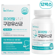 럭스웰 퓨어덴탈 구강유산균 덴탈유산균 프로바이오틱스 oral lactobacillus oral care, 12박스, 30회분