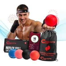 Champs MMA 챔스 복싱 펀치볼 리플렉스 볼 세트 펀치 카운터 앱 4개 TJ