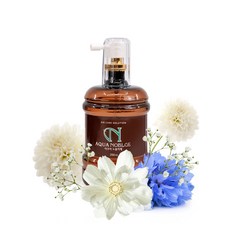 노블리제 아쿠아 방향제 250ml 블루비앙카향, 1개