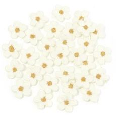 30 개/몫 1.5CM 자수 미니 꽃 패치 장식 가방 액세서리 의류 손 다채로운 바느질 DIY