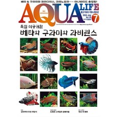 2024년 아쿠아라이프 7월호 [특집 미궁귀환 베타와 구라미와 라비린스], 단품, 단품