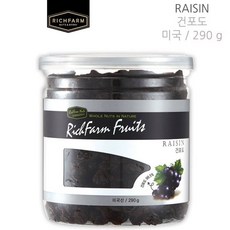 리치팜너트 건포도290g