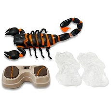 곤충덕후 무선조종 리얼한 LED 전갈 움직이는 초등학생 남자아이