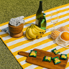 온다온 피크닉매트 푹신한 방수 돗자리 캠핑, 옐로우 스트라이프