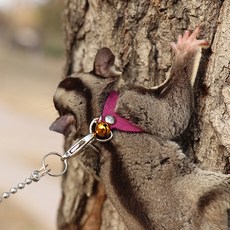 슈가 글라이더 목줄 견인 분실 스트랩 가방 산책 하늘 다람쥐 로프, 자주색, 1개