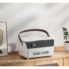 휴대용 냉장고 인슐린 보관함 저온 인큐베이터 미니 박스 차박 충전식 약품 여행 냉장, 배터리 2개, 1L