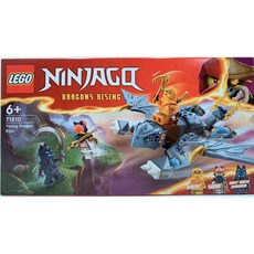 레고 닌자고 71810 아기 드래곤 리유, 혼합색상, 1개