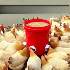 자동 급식기 플라스틱 가금류 사육용 사료통, 1개, 1_자동급식기1개, 1000ml