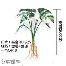 仿真斑葉龜背芋 白斑龜背芋 龜背芋 園藝盆栽, 1個, 6片葉, 綠色