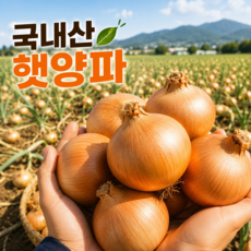 [한정초특가] 산지직송 국내산 햇양파 단단한양파, 1박스, 5Kg