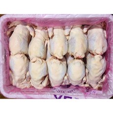 싱그린에프에스 국내산 생닭 성계 노계 1.4키로 10마리 백숙용 냉동(벌크) [원산지:국산], 10개, 1.4kg