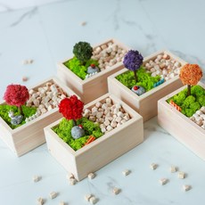 DIY 스칸디아모스 편백 나무 천연가습기 화분 실내공기정화식물, 딥그린, 1개