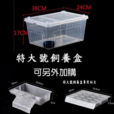 爬蟲飼養盒 大樹盒 透明通風 爬蟲箱 寵物飼養箱 蜥蜴 蜘蛛 飼養盒, 特大號飼養盒(送水盆), 1個
