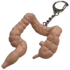 人體內臟器官模型鑰匙圈/吊飾 (心臟/大腦等), 肉色, 1個