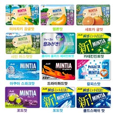 민티아 10개세트 와일드 쿨+콜드스매쉬+카테킨민트+드라이하드+아쿠아 스파크+포도+칼피스+샤인 머스캣+세토카 귤 *솔직히 한가지맛은 지겹자나! *한두가지는 랜덤가능성*