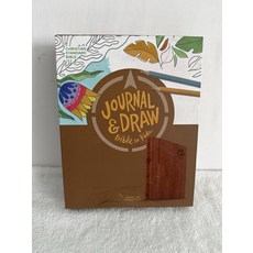 키즈 영어 성경 아동 영문 홀리 바이블 칠드런용 그림책 겸 성경 (크리스천 스탠다드 성경 갈색 가죽 촉감 새 제품)