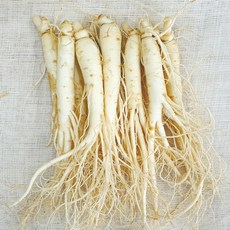 햇수삼!! 삼키우는마을 고려수삼 세척 무세척 수삼 가정용 인삼 금산 홍삼제조용 못난이 파삼 난발삼 삼계탕용, 다.원20-470g-무료세척, 1개