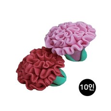 MB8 향기 버블솝플레이 5월의카네이션 10인 비누클레이